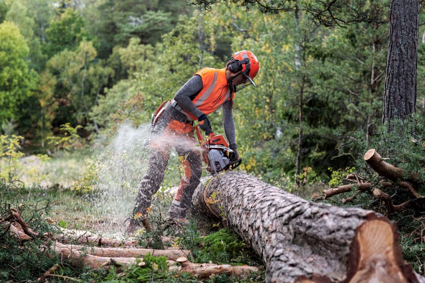 Husqvarna Profi Benzin Motorsäge 545 Mark II – Bild 5