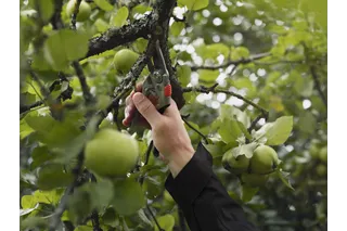 Husqvarna Gartenschere Alu HS24 Robuste Astschere für Große Hände – Bild 2