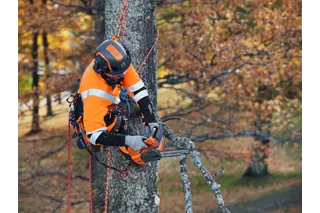 Husqvarna T525 Motorsäge 27 cm³ 10 Zoll Profi Baumpflege – Bild 4