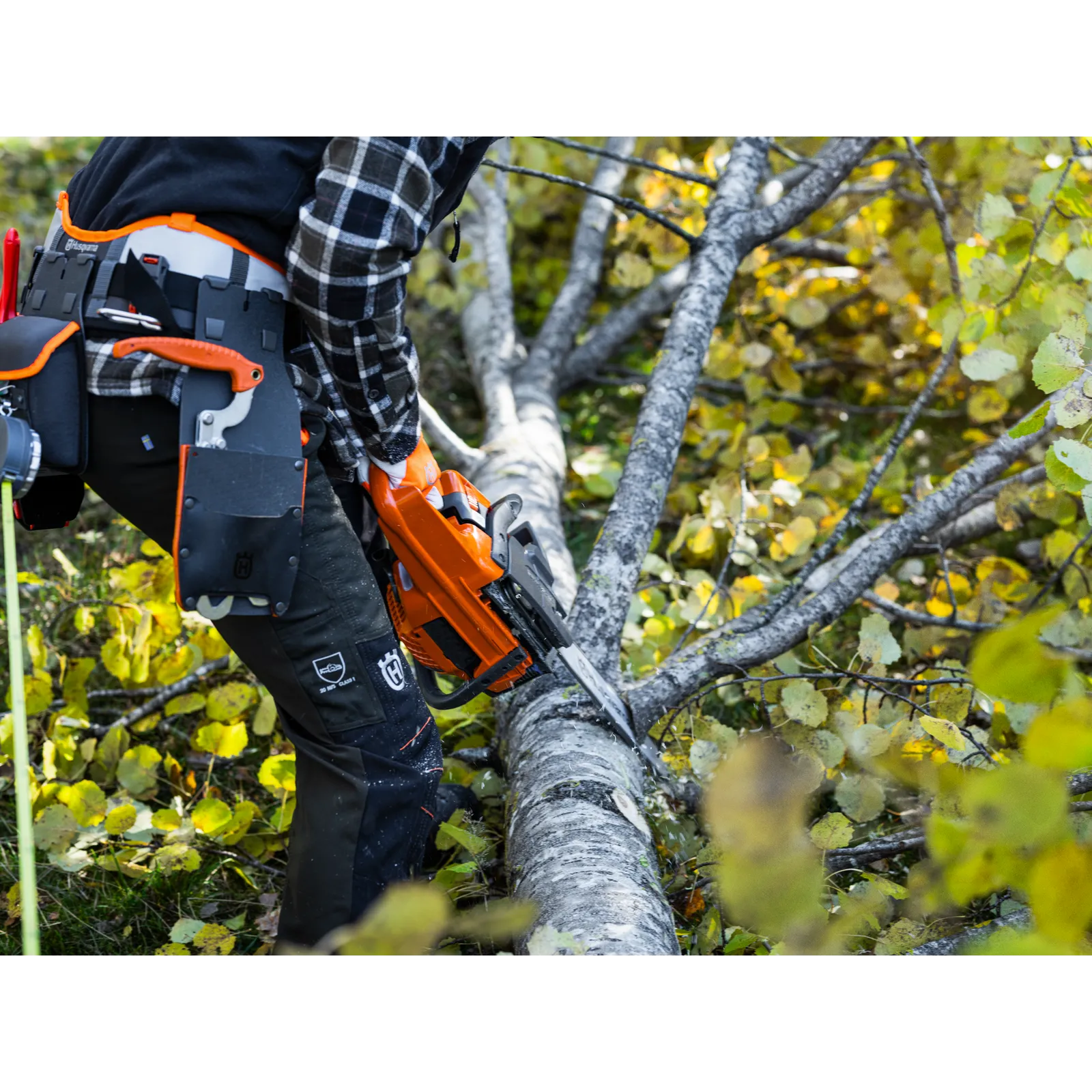 Husqvarna 445S Motorsäge 50.2 cm³ 2.2 kW 15 Zoll – Bild 6