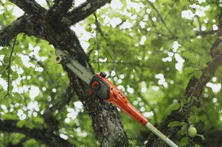 Husqvarna DP110 FLXi Hochentastervorsatz mit X-Precision-Kette – Bild 5