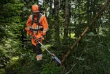 Husqvarna 530iPX Akku-Hochentaster 36V Leichte Professionelle Pflegesäge 180cm – Bild 3